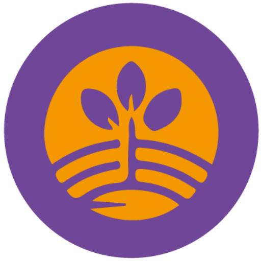 인트로비즈 사업의 시작