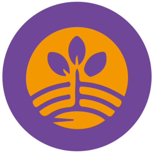 인트로비즈 사업의 시작