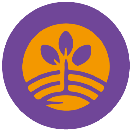 인트로비즈 사업의 시작