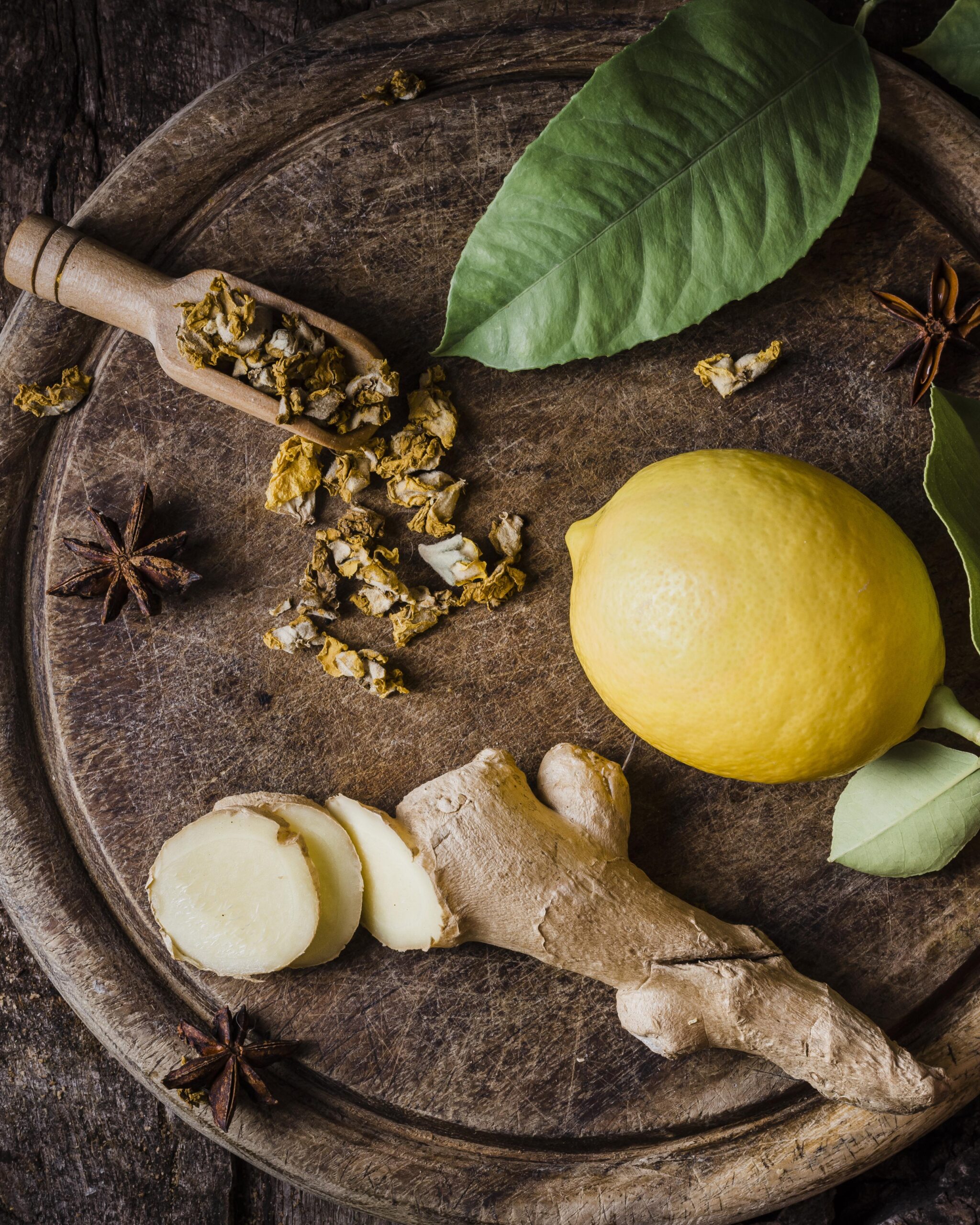 별. 우리는 모두 별이었다. 별별이야기 시리즈 (1)