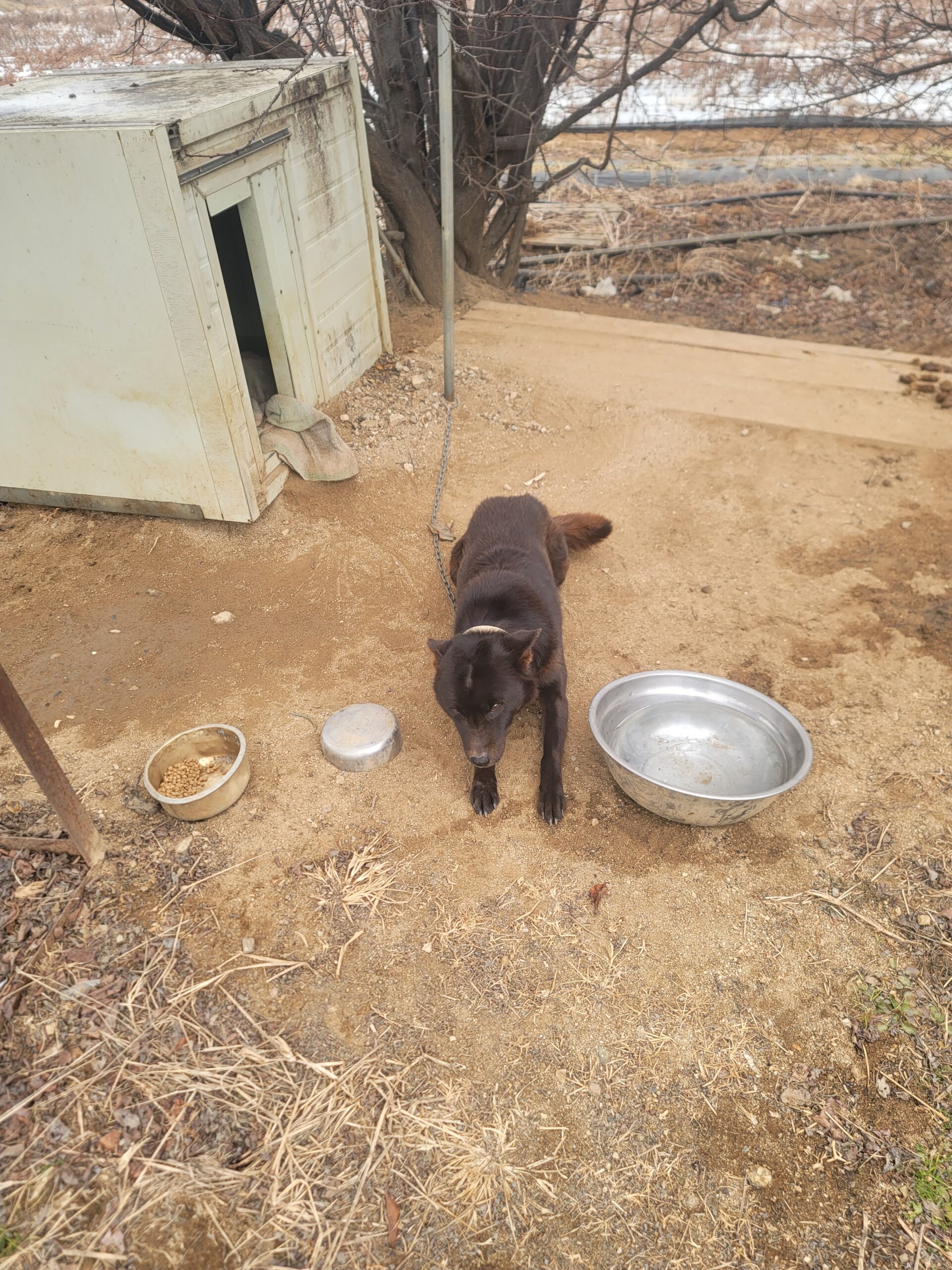 KakaoTalk_20250404_015223490