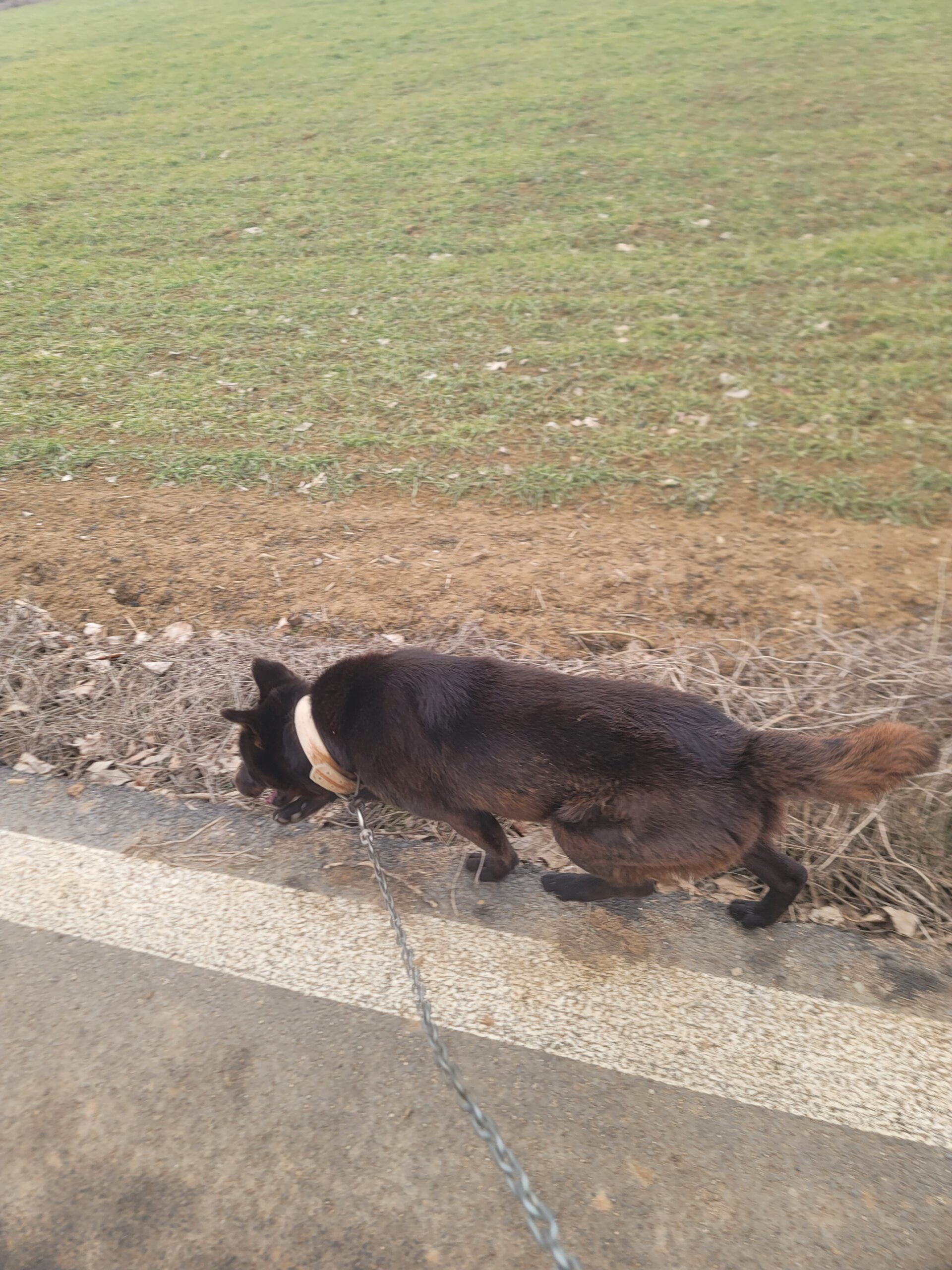 KakaoTalk_20250404_015223490_06