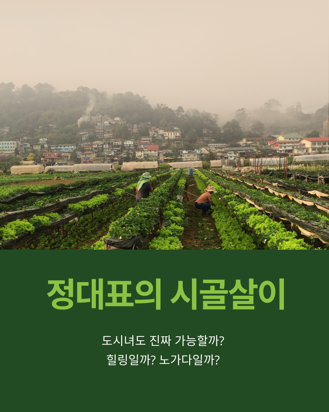 시골살이 – 귀농하다 (벌레와의 조우)